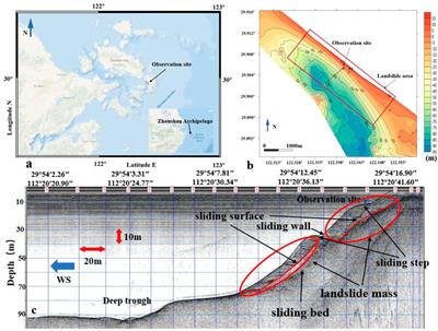 In situ observation of wave-induced deformation of submarine landslides in tidal channel areas